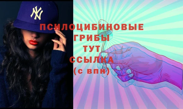 эйфоретик Волоколамск