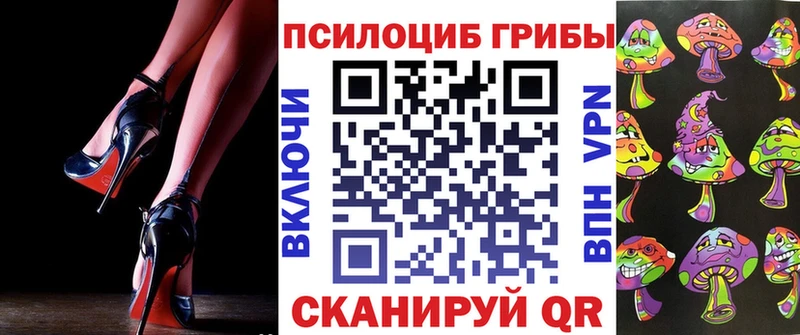 Псилоцибиновые грибы Psilocybine cubensis  Нерехта 